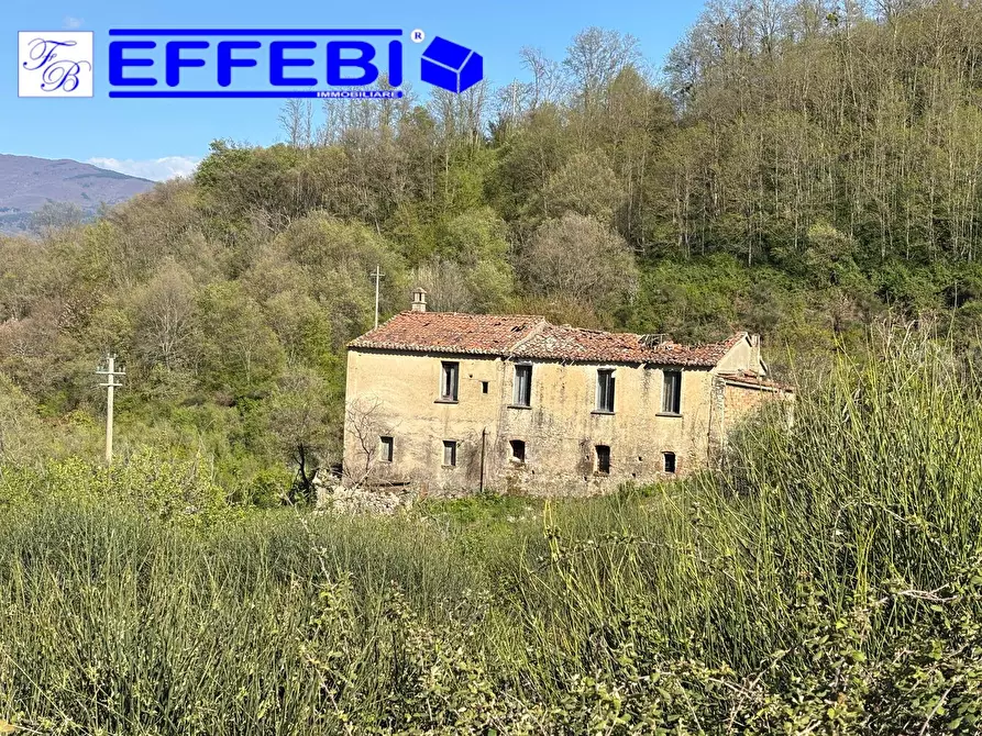 Immagine 24 di Agriturismo in vendita  in Contrada Fiego a Cosenza