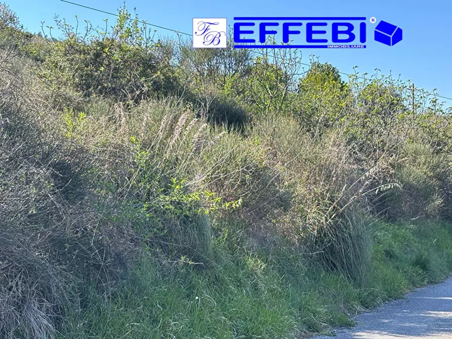 Immagine 29 di Agriturismo in vendita  in Contrada Fiego a Cosenza