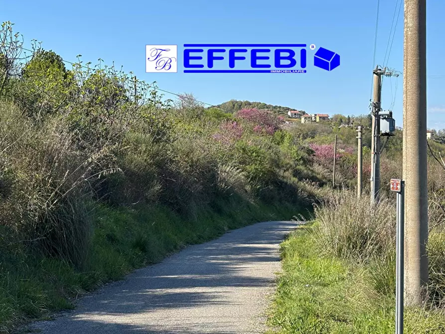 Immagine 30 di Agriturismo in vendita  in Contrada Fiego a Cosenza