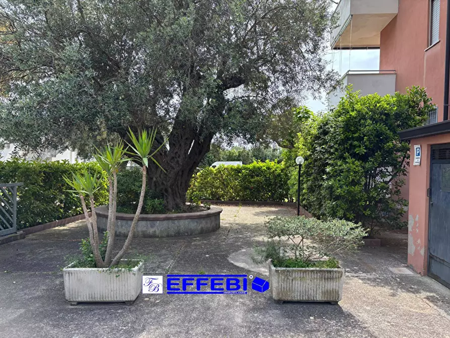 Immagine 3 di Appartamento in vendita  in via sp 34 a Acquappesa