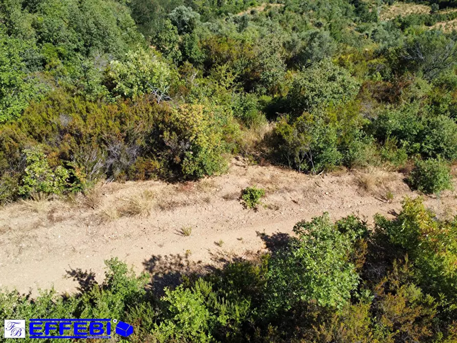 Immagine 2 di Agriturismo in vendita  in CONTRADA PANTANELLA a Luzzi