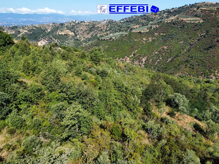 Immagine 3 di Agriturismo in vendita  in CONTRADA PANTANELLA a Luzzi