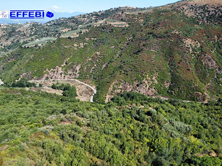 Immagine 4 di Agriturismo in vendita  in CONTRADA PANTANELLA a Luzzi