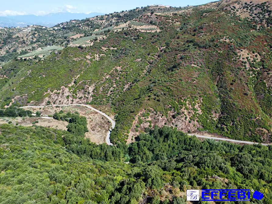 Immagine 5 di Agriturismo in vendita  in CONTRADA PANTANELLA a Luzzi