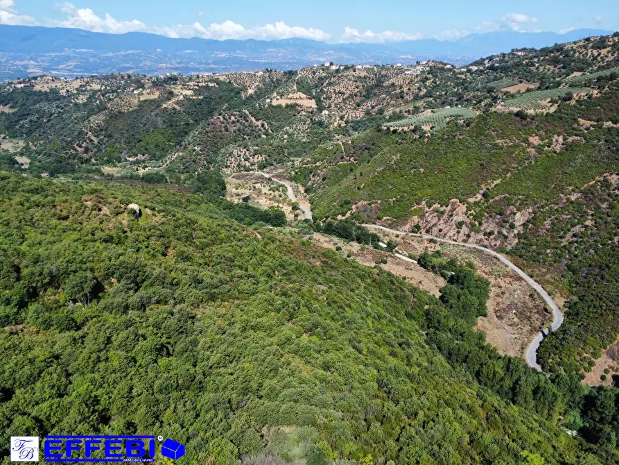 Immagine 7 di Agriturismo in vendita  in CONTRADA PANTANELLA a Luzzi