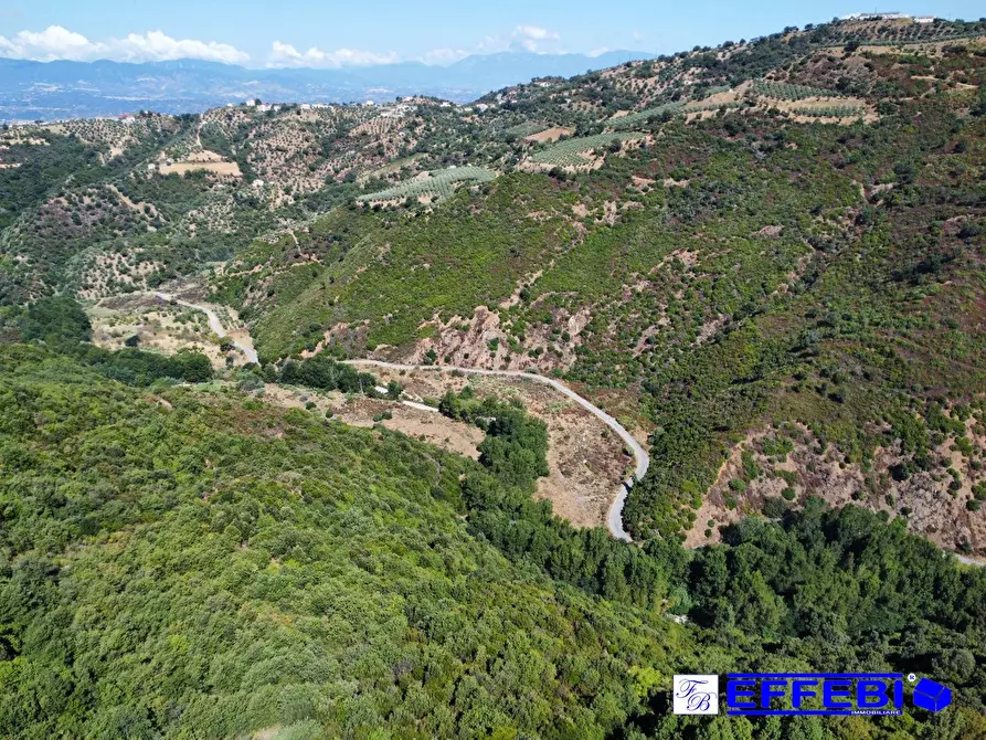 Immagine 8 di Agriturismo in vendita  in CONTRADA PANTANELLA a Luzzi