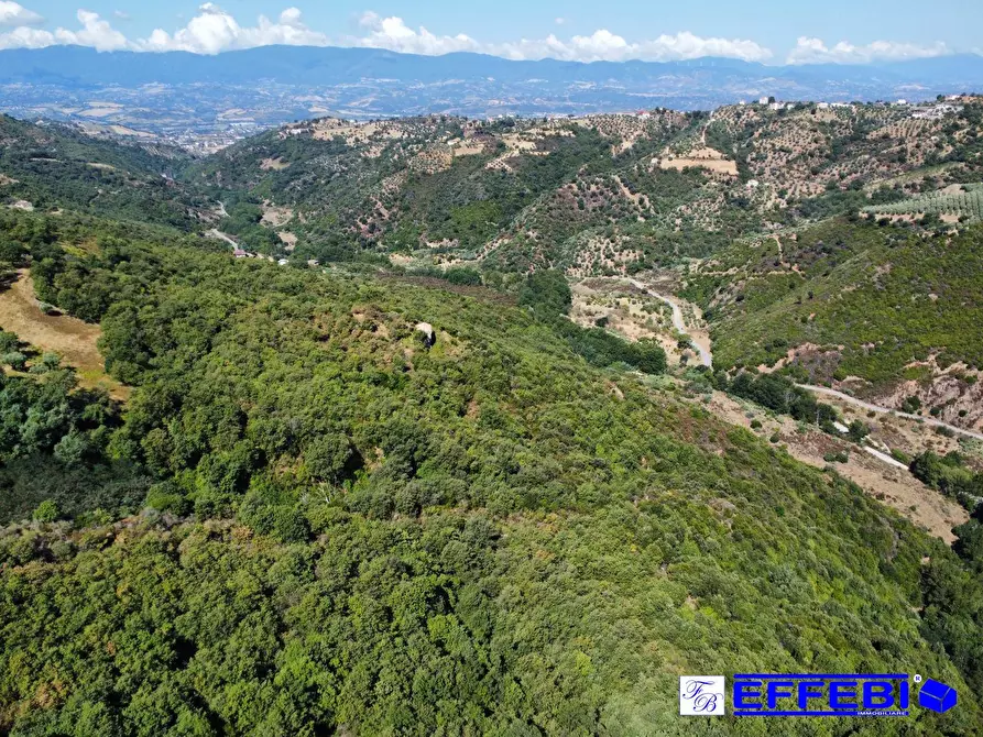 Immagine 9 di Agriturismo in vendita  in CONTRADA PANTANELLA a Luzzi