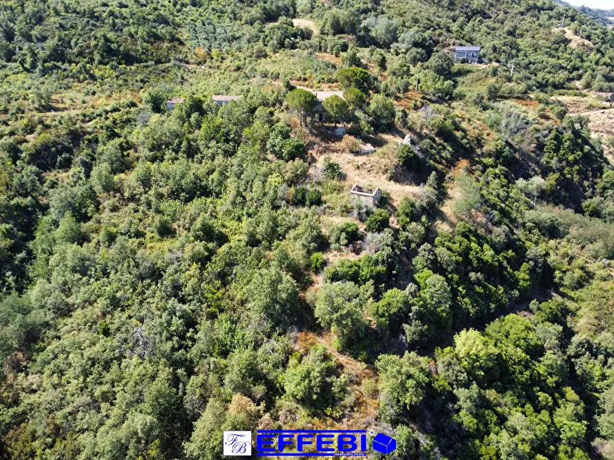 Immagine 10 di Agriturismo in vendita  in CONTRADA PANTANELLA a Luzzi