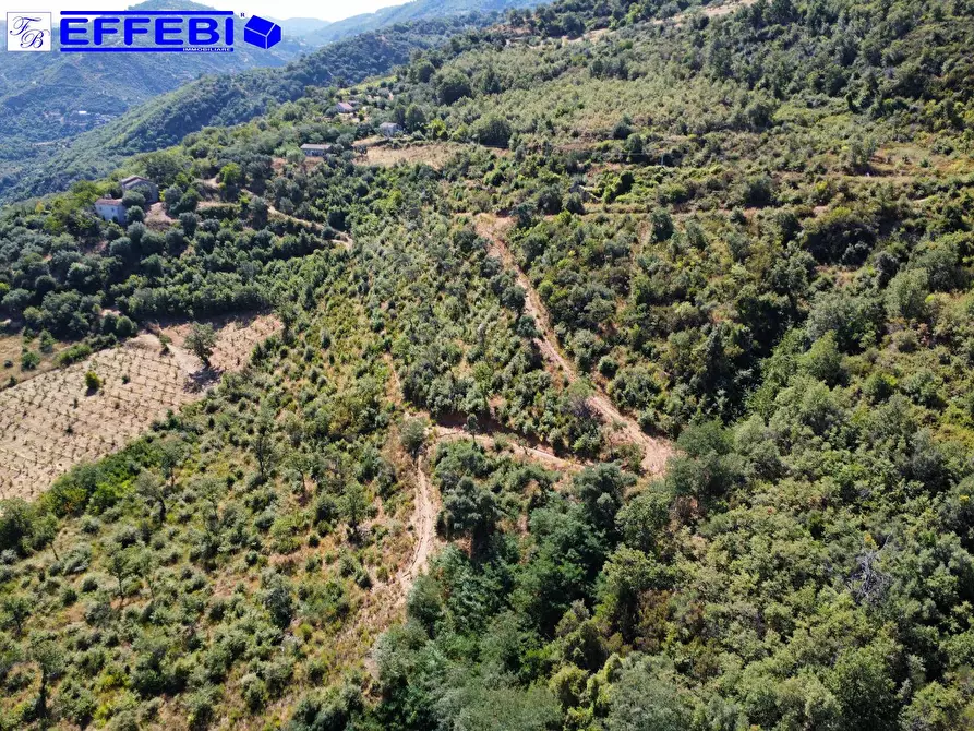 Immagine 11 di Agriturismo in vendita  in CONTRADA PANTANELLA a Luzzi