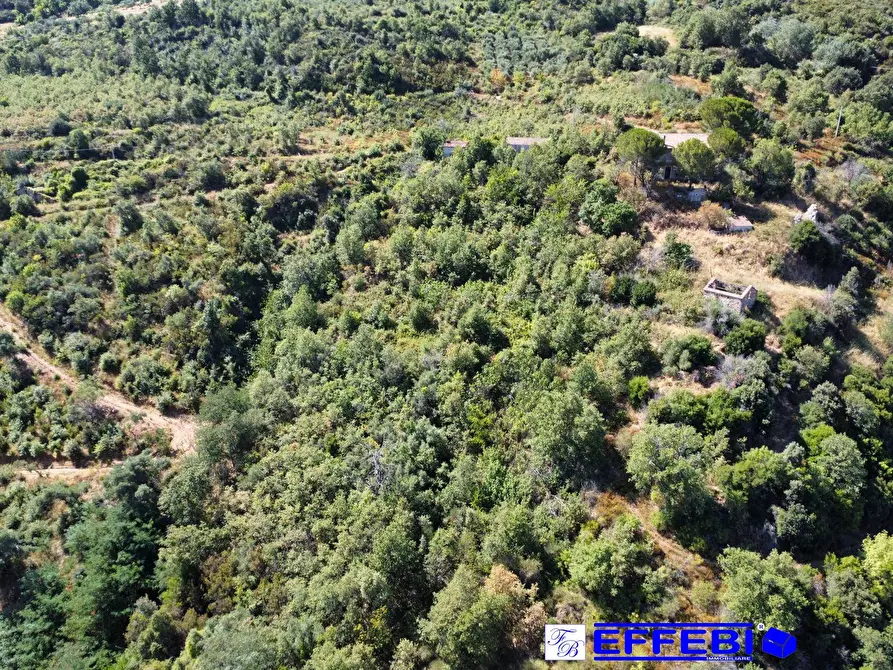 Immagine 12 di Agriturismo in vendita  in CONTRADA PANTANELLA a Luzzi