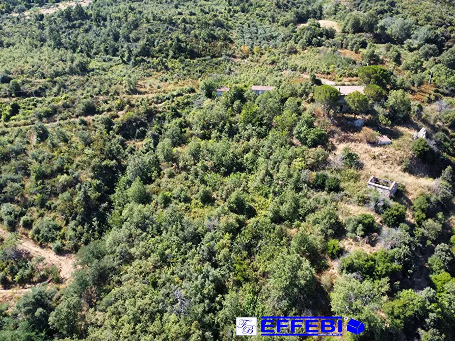 Immagine 13 di Agriturismo in vendita  in CONTRADA PANTANELLA a Luzzi