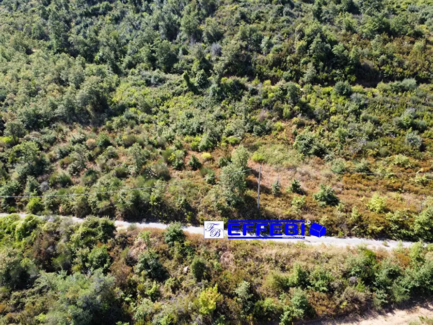 Immagine 14 di Agriturismo in vendita  in CONTRADA PANTANELLA a Luzzi