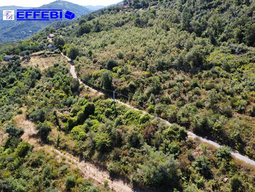 Immagine 15 di Agriturismo in vendita  in CONTRADA PANTANELLA a Luzzi