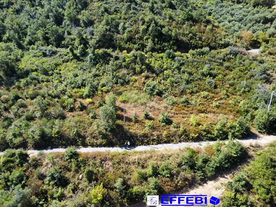 Immagine 16 di Agriturismo in vendita  in CONTRADA PANTANELLA a Luzzi