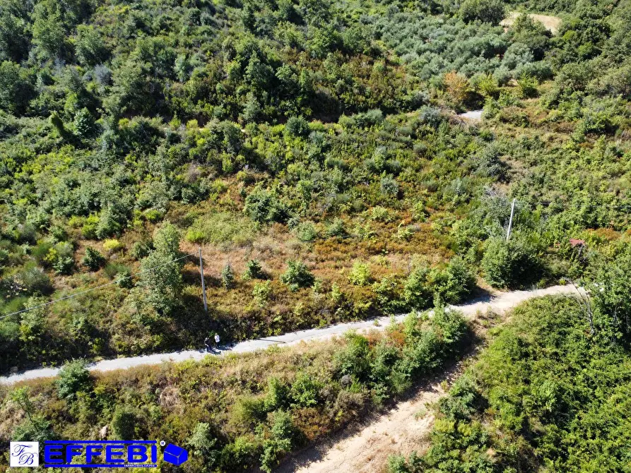 Immagine 17 di Agriturismo in vendita  in CONTRADA PANTANELLA a Luzzi