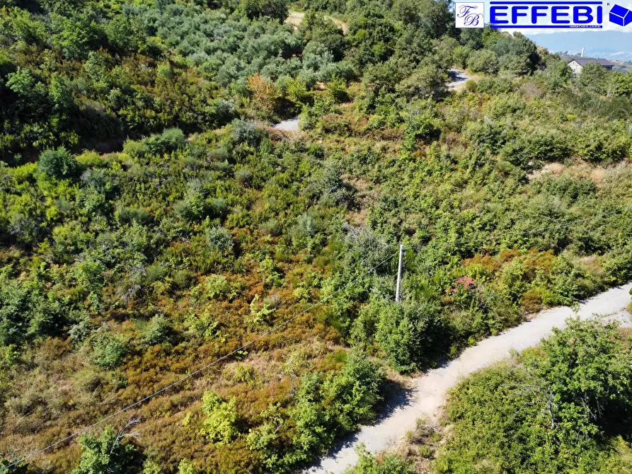 Immagine 18 di Agriturismo in vendita  in CONTRADA PANTANELLA a Luzzi