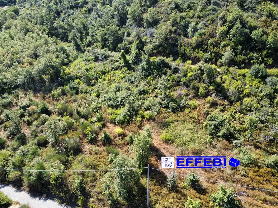 Immagine 19 di Agriturismo in vendita  in CONTRADA PANTANELLA a Luzzi