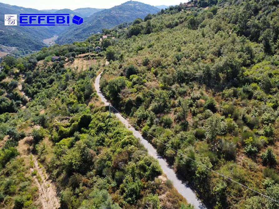 Immagine 20 di Agriturismo in vendita  in CONTRADA PANTANELLA a Luzzi