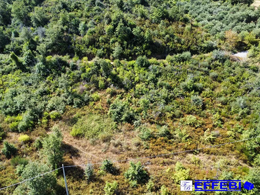 Immagine 21 di Agriturismo in vendita  in CONTRADA PANTANELLA a Luzzi