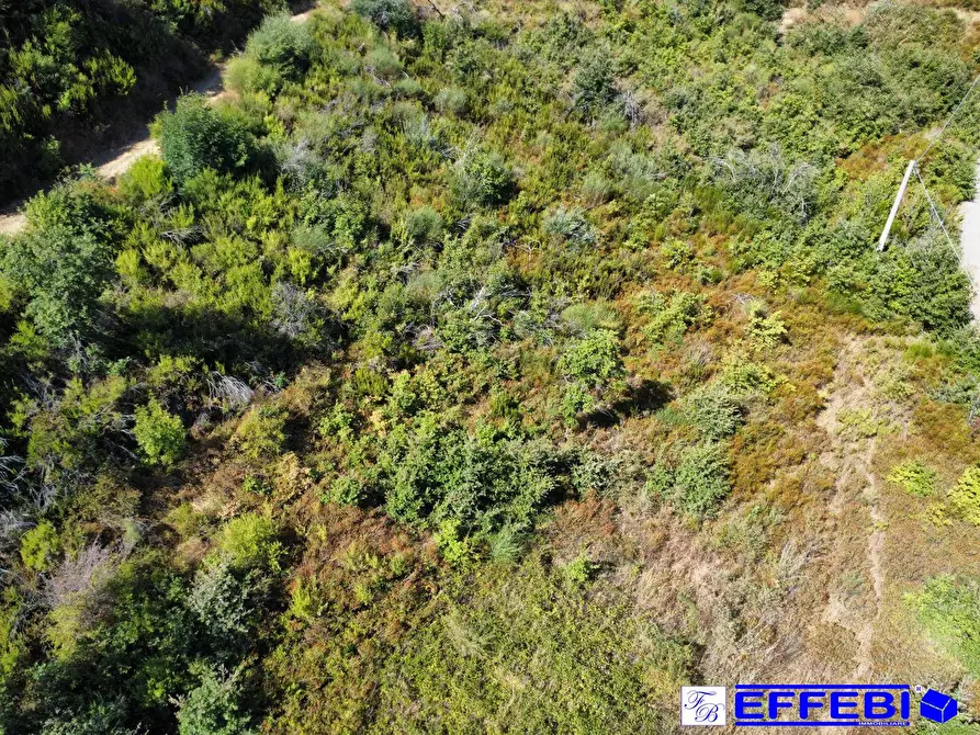 Immagine 27 di Agriturismo in vendita  in CONTRADA PANTANELLA a Luzzi