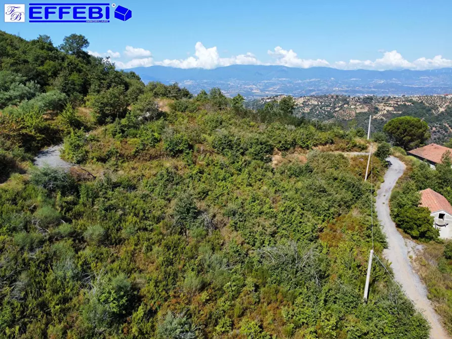 Immagine 28 di Agriturismo in vendita  in CONTRADA PANTANELLA a Luzzi