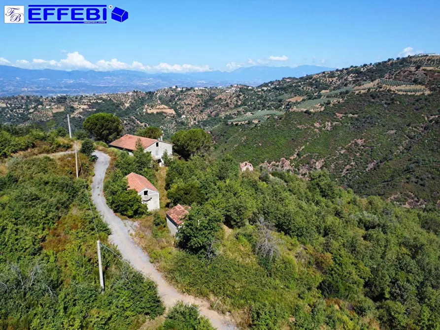 Immagine 29 di Agriturismo in vendita  in CONTRADA PANTANELLA a Luzzi