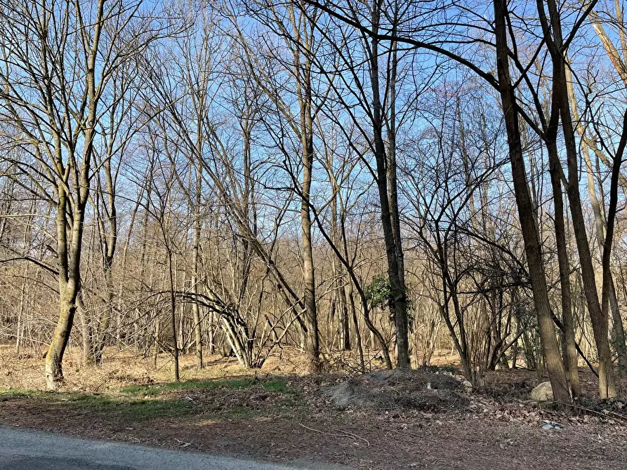 Immagine 6 di Casa indipendente in vendita  in STRADA PIANCA a Trana