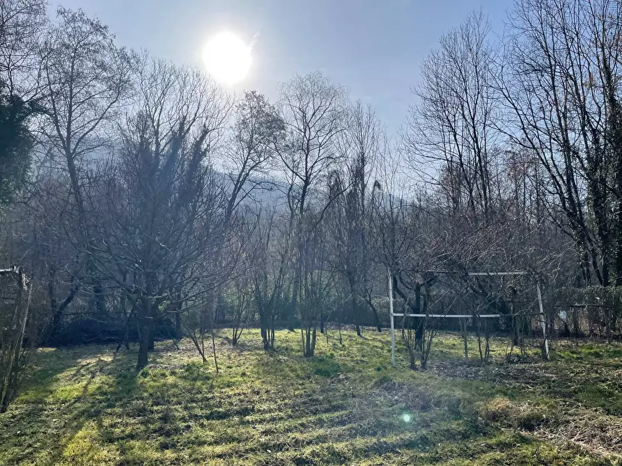 Immagine 8 di Casa indipendente in vendita  in STRADA PIANCA a Trana