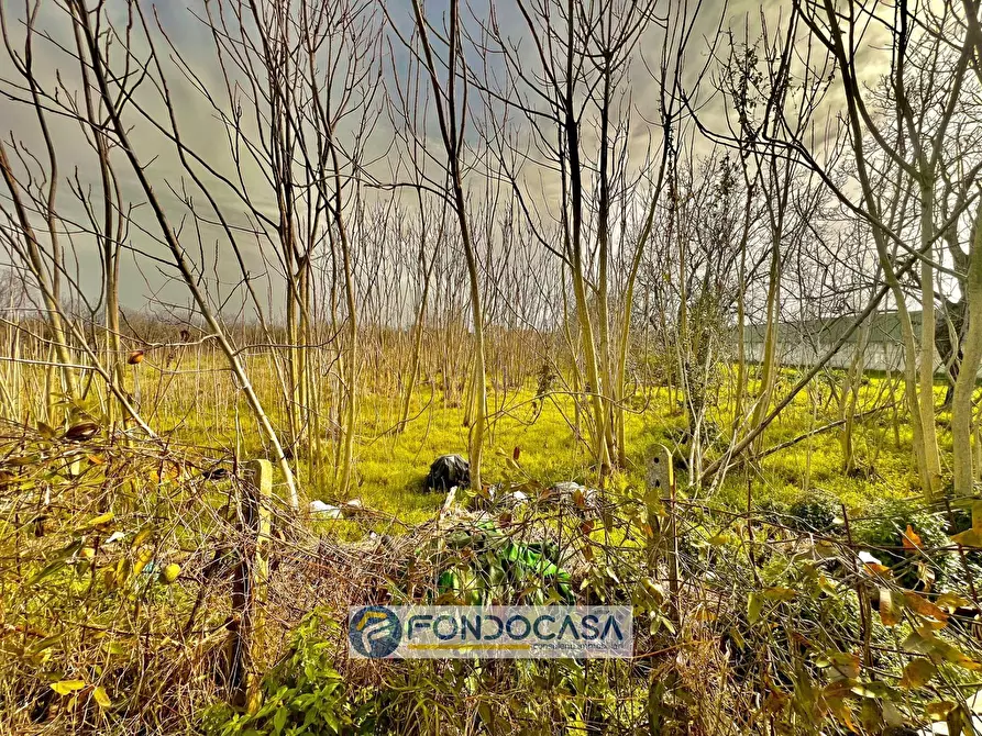 Immagine 4 di Terreno agricolo in vendita  in pietroluongo a Sant'antimo