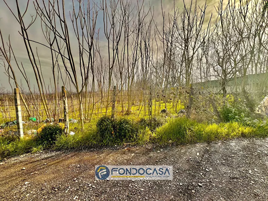 Immagine 5 di Terreno agricolo in vendita  in pietroluongo a Sant'antimo