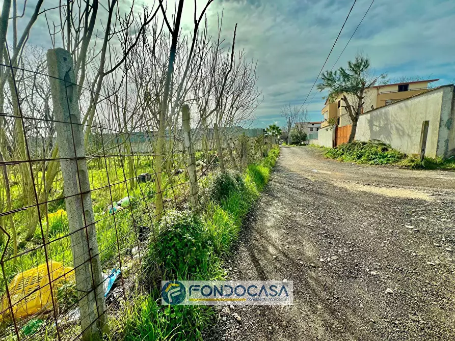 Immagine 6 di Terreno agricolo in vendita  in pietroluongo a Sant'antimo