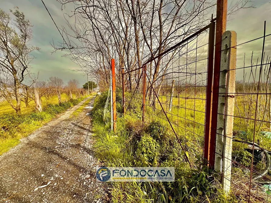 Immagine 7 di Terreno agricolo in vendita  in pietroluongo a Sant'antimo