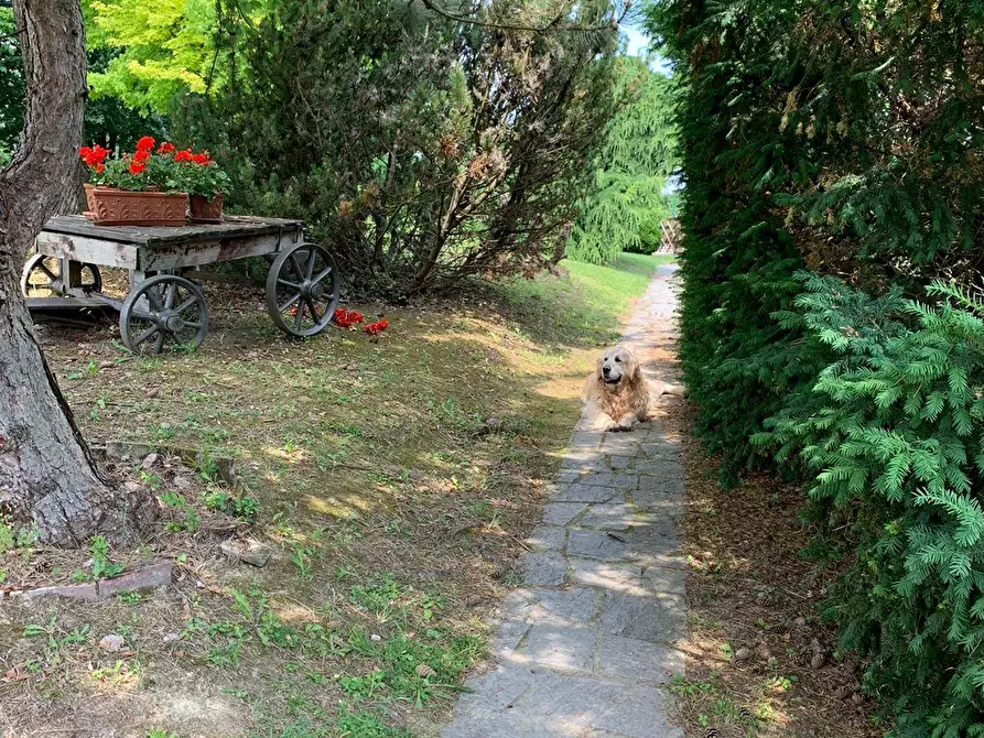 Immagine 13 di Azienda agricola in vendita  in località mombarone 115 a Aramengo