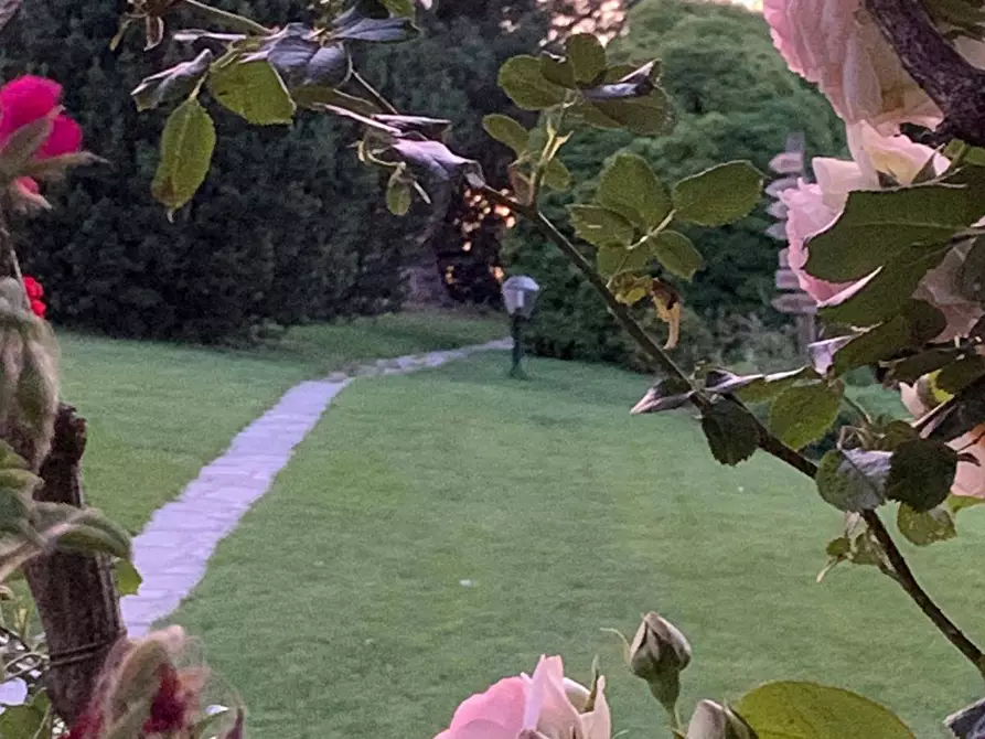 Immagine 19 di Azienda agricola in vendita  in località mombarone 115 a Aramengo