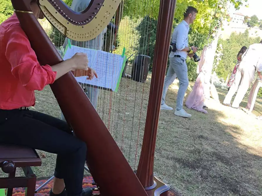 Immagine 33 di Azienda agricola in vendita  in località mombarone 115 a Aramengo