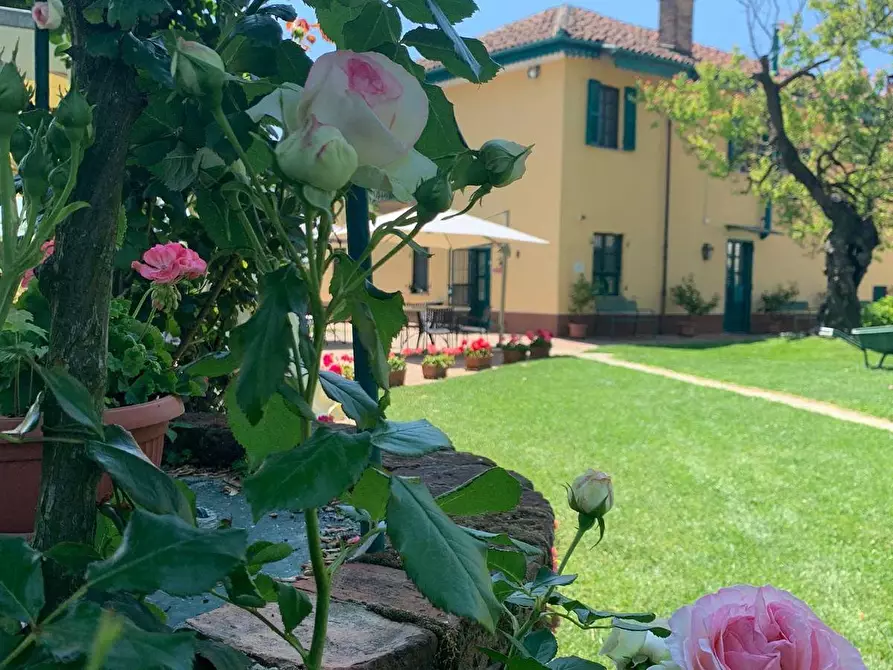 Immagine 35 di Azienda agricola in vendita  in località mombarone 115 a Aramengo