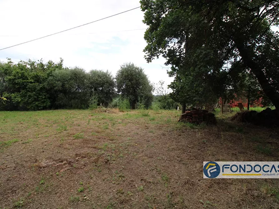 Immagine 24 di Villa in vendita  in via sassa al sole a Montopoli In Val D'arno