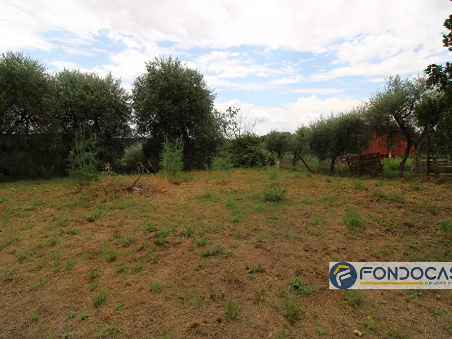 Immagine 25 di Villa in vendita  in via sassa al sole a Montopoli In Val D'arno