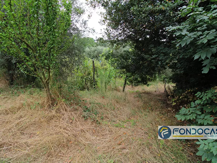 Immagine 28 di Villa in vendita  in via sassa al sole a Montopoli In Val D'arno