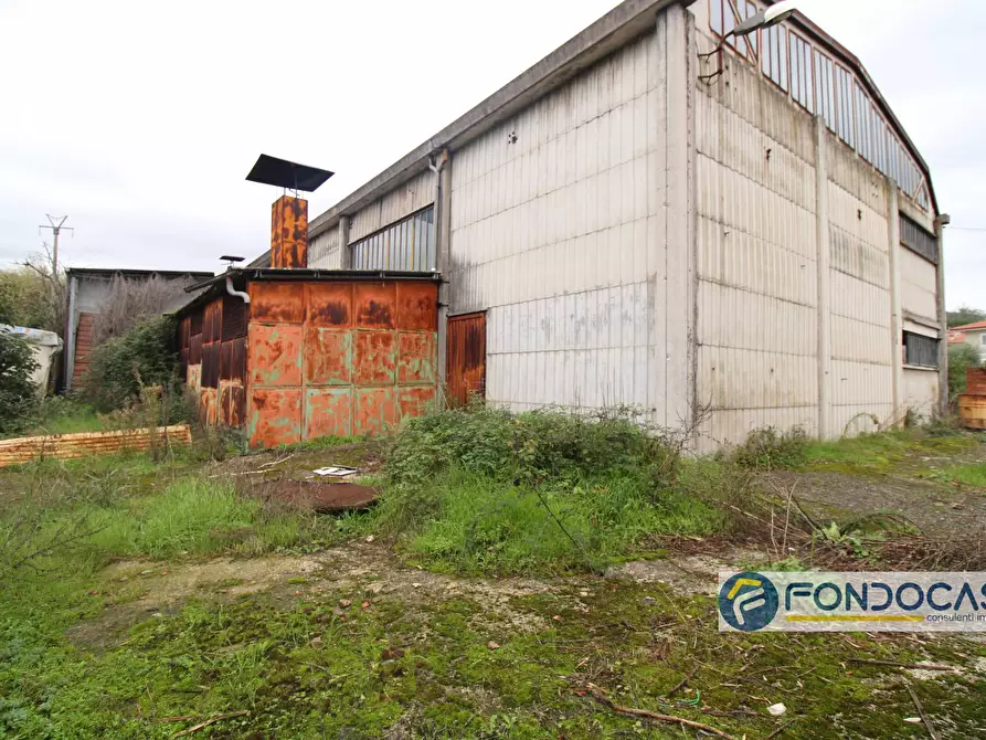 Immagine 19 di Capannone industriale in vendita  in Via Del Renaio a Buti