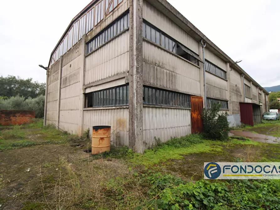 Immagine 20 di Capannone industriale in vendita  in Via Del Renaio a Buti