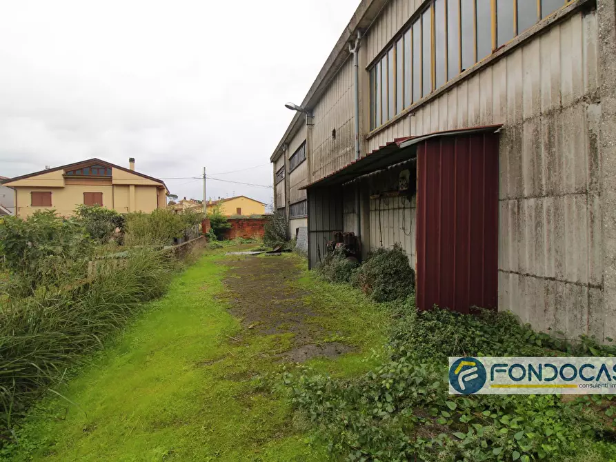Immagine 14 di Capannone industriale in vendita  in Via Del Renaio a Buti