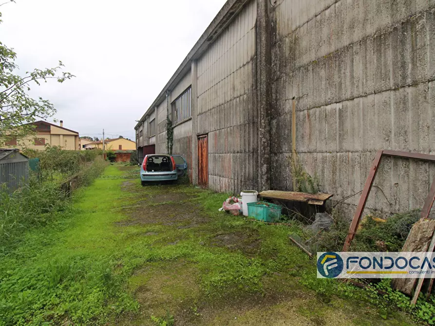 Immagine 15 di Capannone industriale in vendita  in Via Del Renaio a Buti