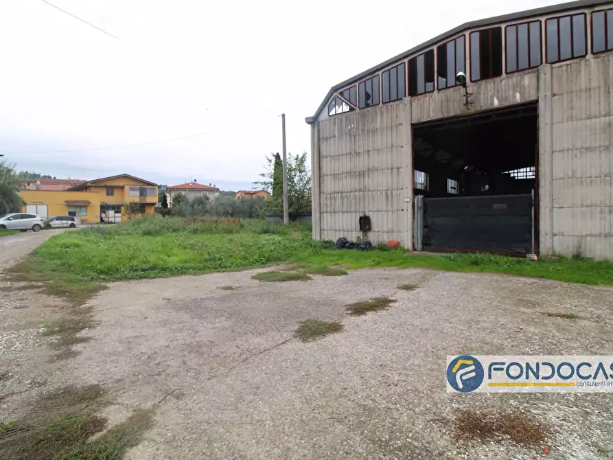 Immagine 2 di Capannone industriale in vendita  in Via Del Renaio a Buti