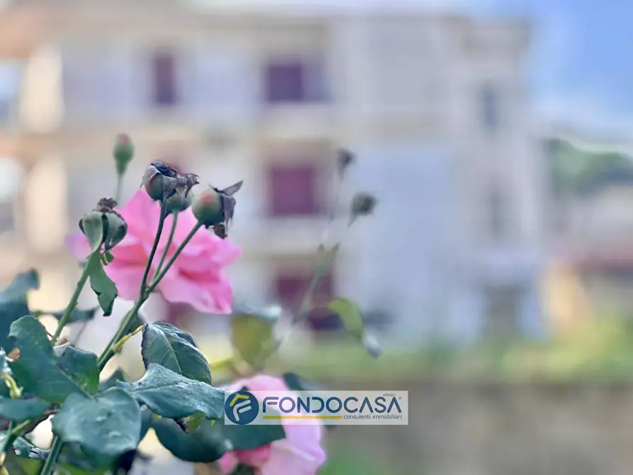 Immagine 10 di Appartamento in vendita  in via degli oleandri 26 a Sant'antimo