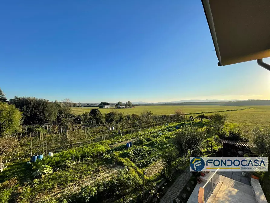 Immagine 30 di Casa indipendente in vendita  in Via Giacomo Puccini a Palaia