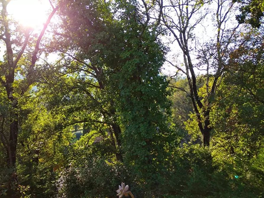 Immagine 33 di Appartamento in vendita  a Garlenda