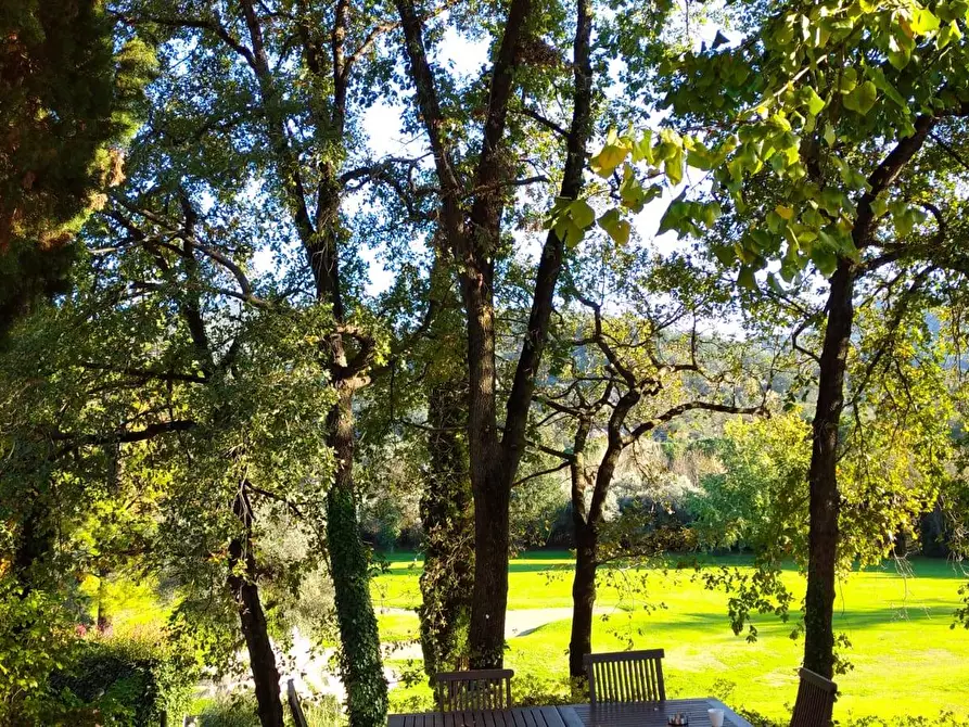 Immagine 38 di Appartamento in vendita  a Garlenda