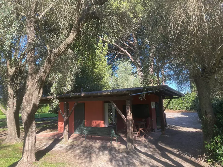 Immagine 42 di Appartamento in vendita  a Garlenda