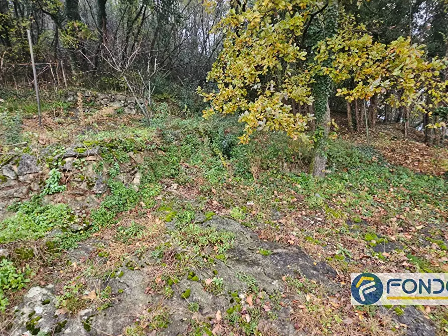 Immagine 24 di Appartamento in vendita  a Zandobbio